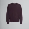 Knitwear>Marni Burgundy Cotton Crewneck Sweater DARKRAISIN
