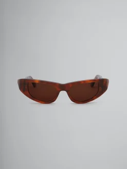 Sunglasses | Sunglasses>Marni Netherworld Sunglasses HAVANA