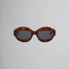 Sunglasses>Marni Tortoiseshell Ik Kil Cenote Acetate Sunglasses HAVANA
